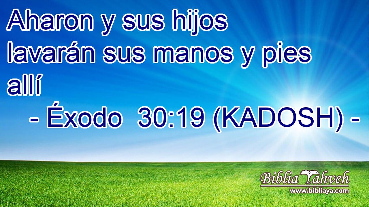  Aharon y sus hijos lavarán sus manos y pies allí 