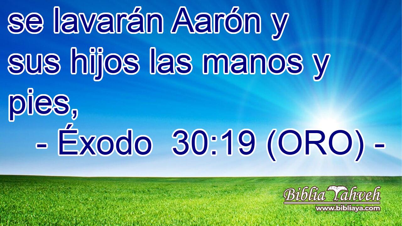  se lavarán Aarón y sus hijos las manos y pies, 