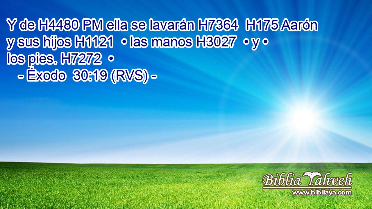 Y de H4480 PM ella se lavarán H7364  H175 Aarón y sus hijos H1121  • las manos H3027  • y • los pies. H7272  • 
