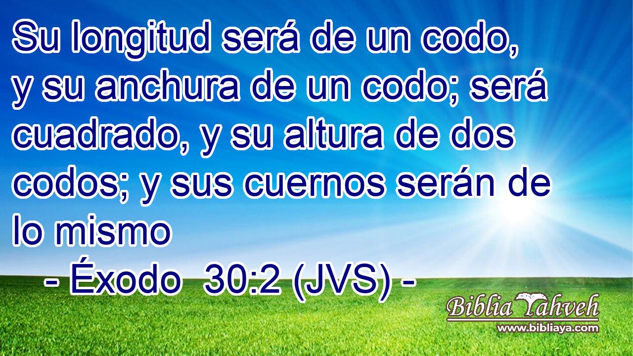 Su longitud será de un codo, y su anchura de un codo; será cuadrado, y su altura de dos codos; y sus cuernos serán de lo mismo