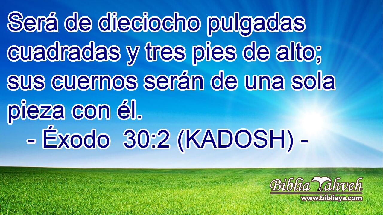  Será de dieciocho pulgadas cuadradas y tres pies de alto; sus cuernos serán de una sola pieza con él. 