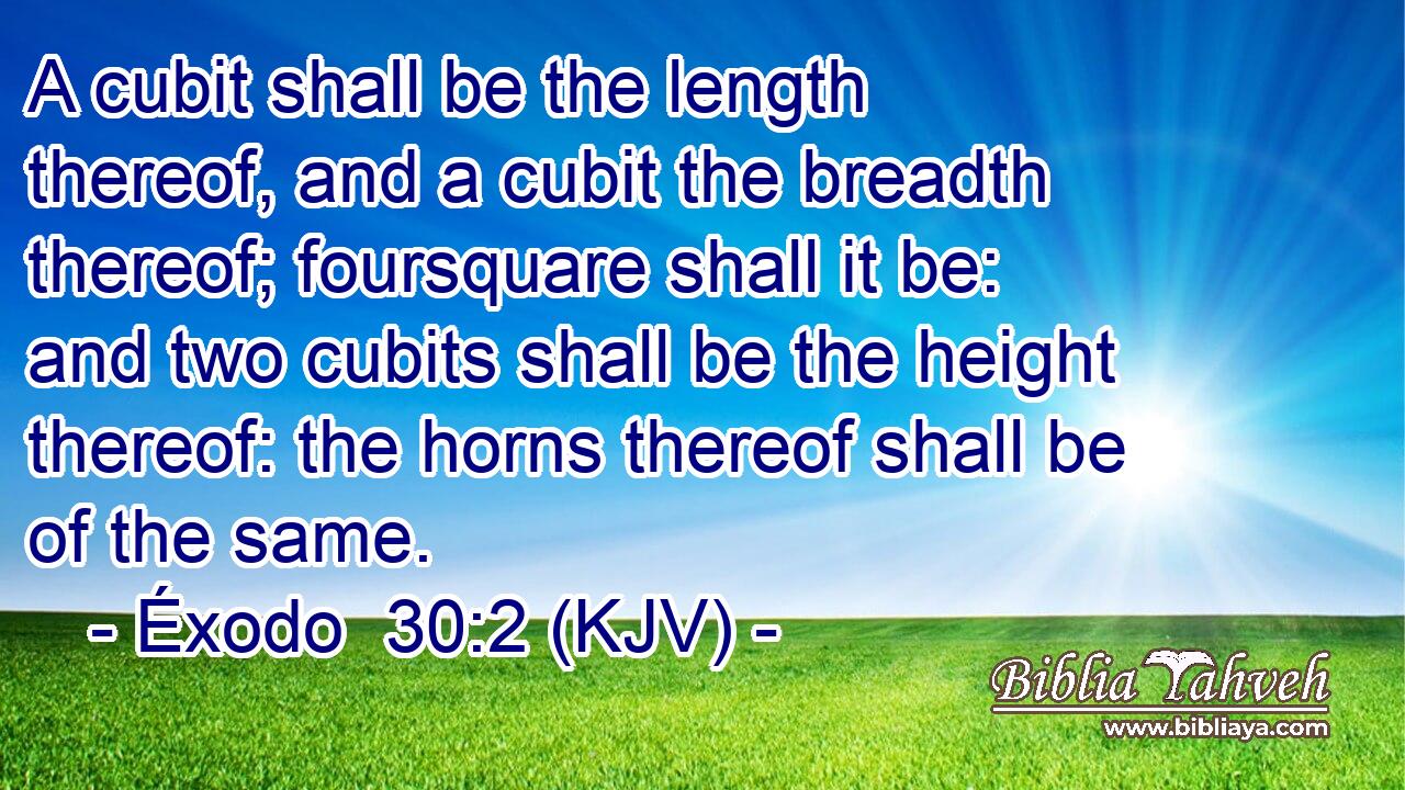 A cubit shall be the length thereof, and a cubit the breadth thereof; foursquare shall it be: and two cubits shall be the height thereof: the horns thereof shall be of the same.