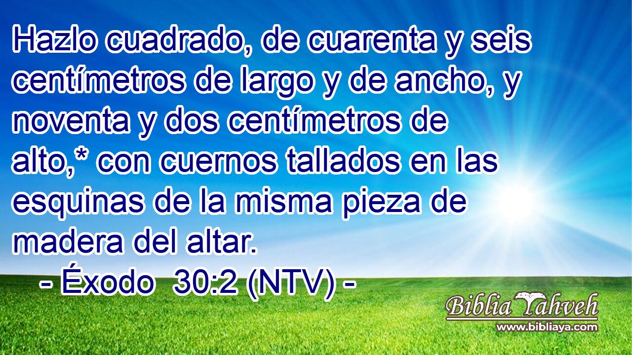 Hazlo cuadrado, de cuarenta y seis centímetros de largo y de ancho, y noventa y dos centímetros de alto,* con cuernos tallados en las esquinas de la misma pieza de madera del altar.