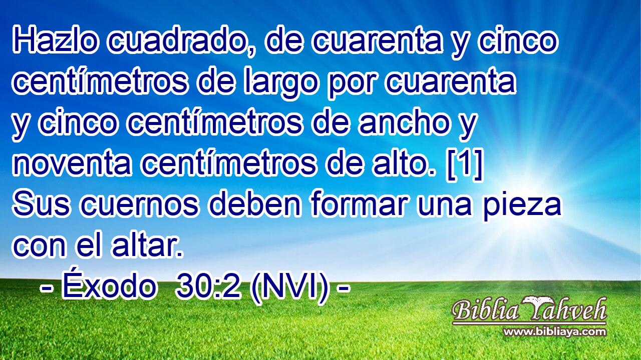  Hazlo cuadrado, de cuarenta y cinco centímetros de largo por cuarenta y cinco centímetros de ancho y noventa centímetros de alto. [1] Sus cuernos deben formar una pieza con el altar. 
