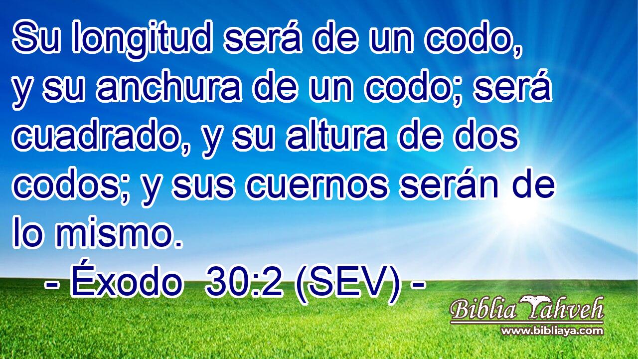 Su longitud será de un codo, y su anchura de un codo; será cuadrado, y su altura de dos codos; y sus cuernos serán de lo mismo.