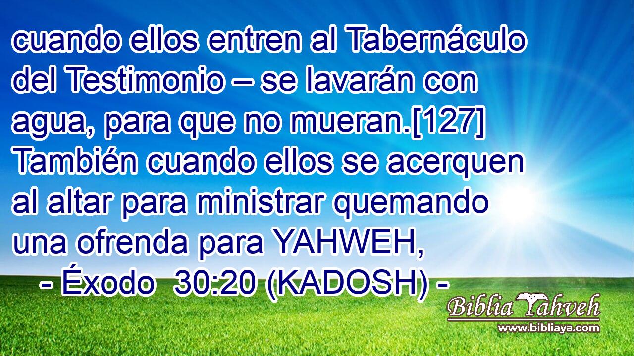  cuando ellos entren al Tabernáculo del Testimonio – se lavarán con agua, para que no mueran.[127] También cuando ellos se acerquen al altar para ministrar quemando una ofrenda para YAHWEH, 