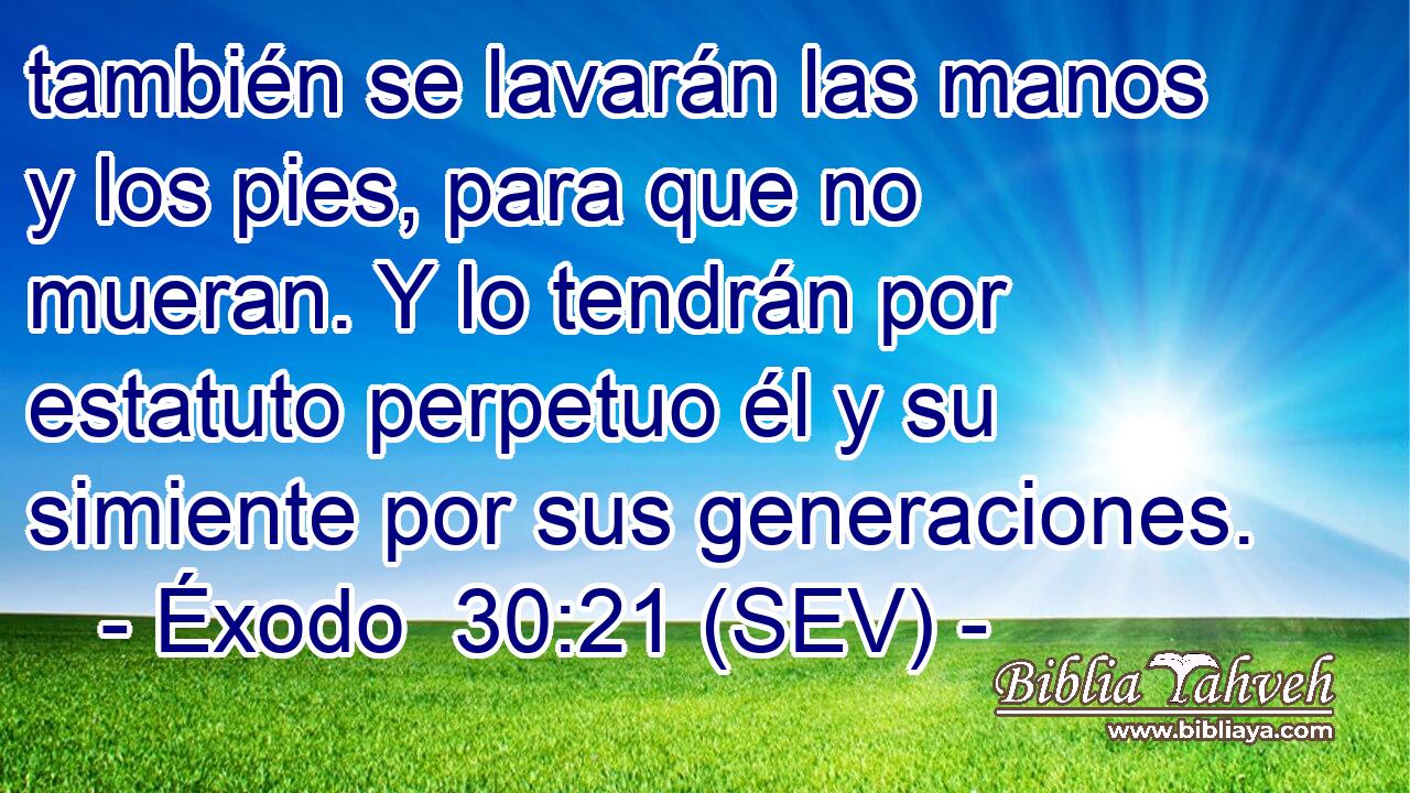 también se lavarán las manos y los pies, para que no mueran. Y lo tendrán por estatuto perpetuo él y su simiente por sus generaciones.