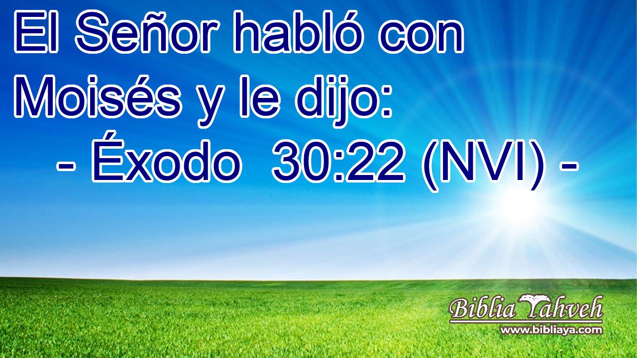  El Señor habló con Moisés y le dijo: 