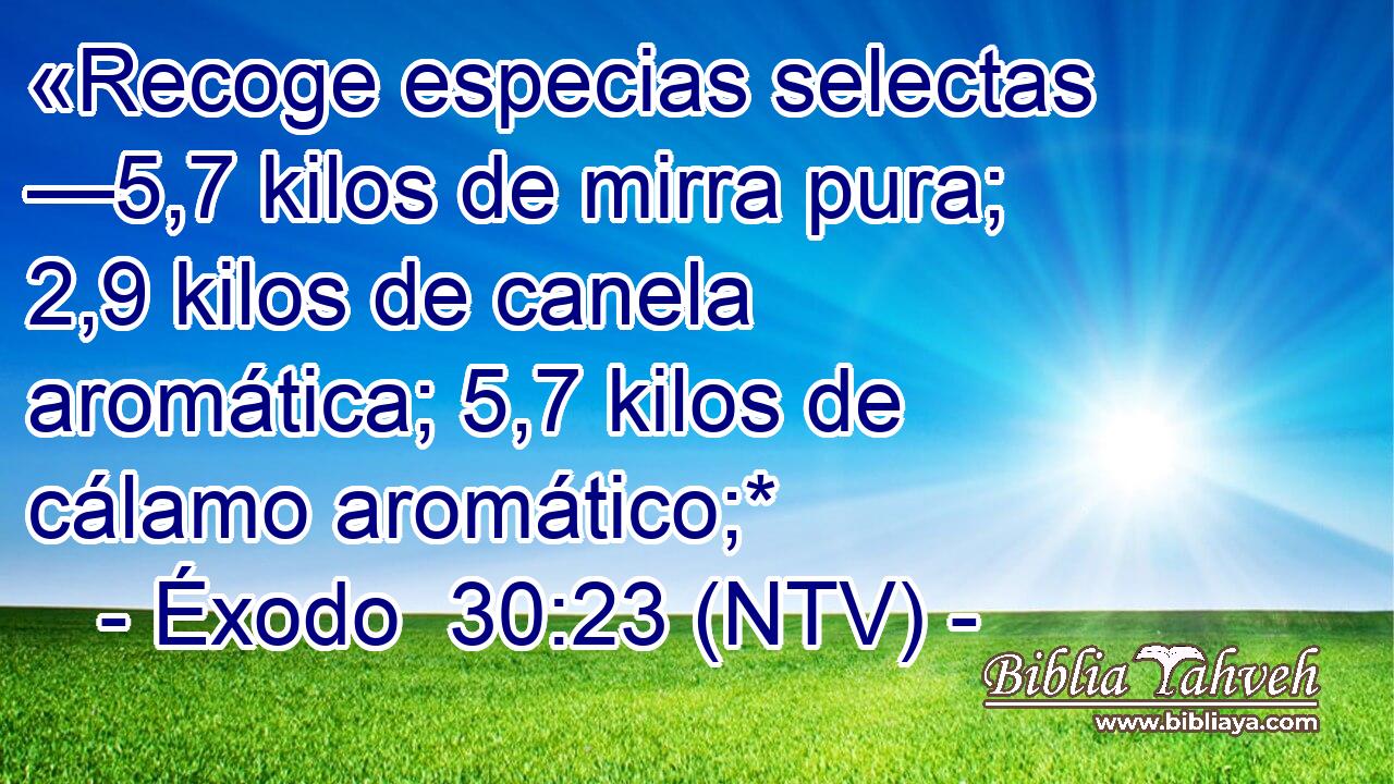 «Recoge especias selectas —5,7 kilos de mirra pura; 2,9 kilos de canela aromática; 5,7 kilos de cálamo aromático;*