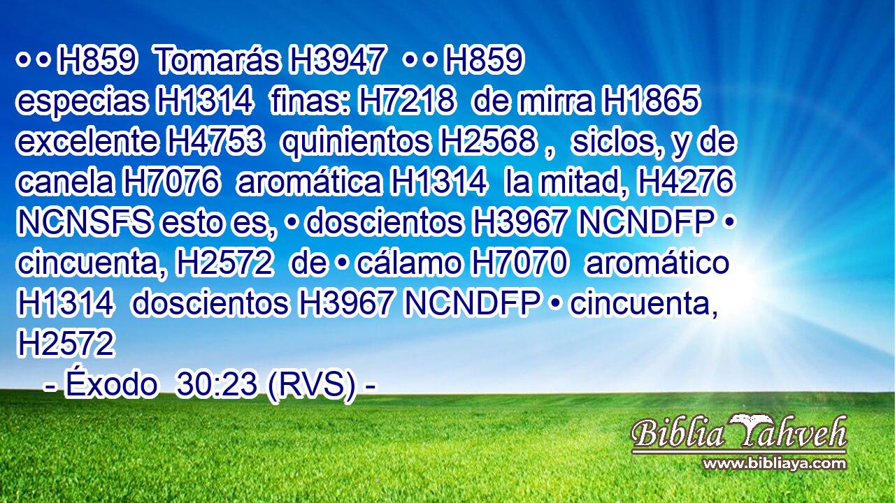 • • H859  Tomarás H3947  • • H859  especias H1314  finas: H7218  de mirra H1865  excelente H4753  quinientos H2568 ,  siclos, y de canela H7076  aromática H1314  la mitad, H4276 NCNSFS esto es, • doscientos H3967 NCNDFP • cincuenta, H2572  de • cálamo H7070  aromático H1314  doscientos H3967 NCNDFP • cincuenta, H2572  