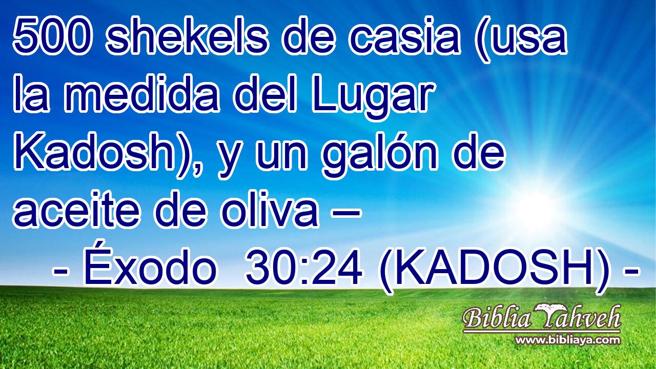  500 shekels de casia (usa la medida del Lugar Kadosh), y un galón de aceite de oliva – 