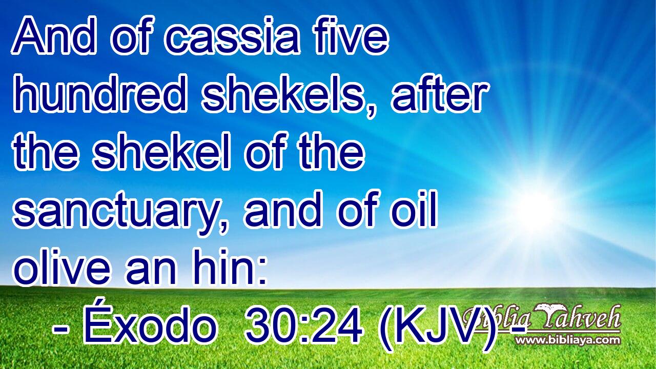 And of cassia five hundred shekels, after the shekel of the sanctuary, and of oil olive an hin: