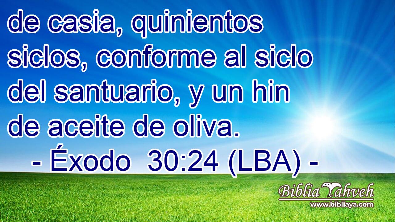 de casia, quinientos siclos, conforme al siclo del santuario, y un hin de aceite de oliva.