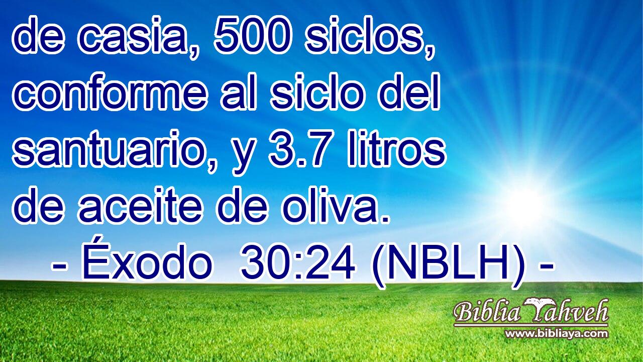  de casia, 500 siclos, conforme al siclo del santuario, y 3.7 litros de aceite de oliva. 