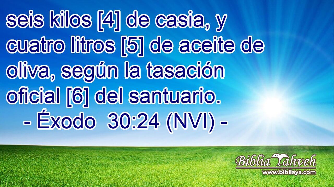  seis kilos [4] de casia, y cuatro litros [5] de aceite de oliva, según la tasación oficial [6] del santuario. 