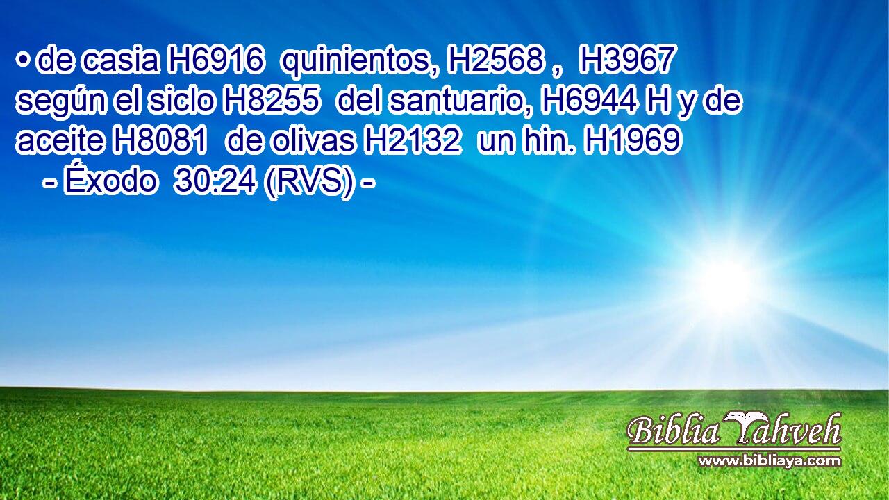 • de casia H6916  quinientos, H2568 ,  H3967 según el siclo H8255  del santuario, H6944 H y de aceite H8081  de olivas H2132  un hin. H1969  
