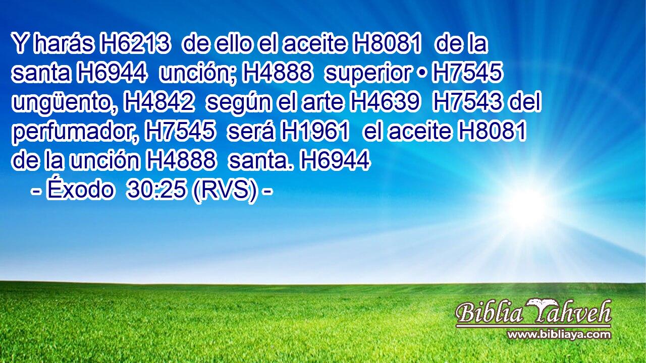 Y harás H6213  de ello el aceite H8081  de la santa H6944  unción; H4888  superior • H7545  ungüento, H4842  según el arte H4639  H7543 del perfumador, H7545  será H1961  el aceite H8081  de la unción H4888  santa. H6944  