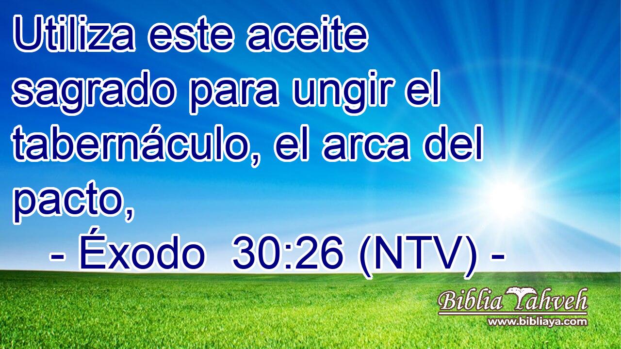 Utiliza este aceite sagrado para ungir el tabernáculo, el arca del pacto,