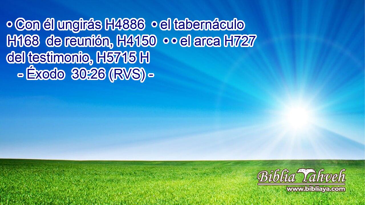 • Con él ungirás H4886  • el tabernáculo H168  de reunión, H4150  • • el arca H727  del testimonio, H5715 H 
