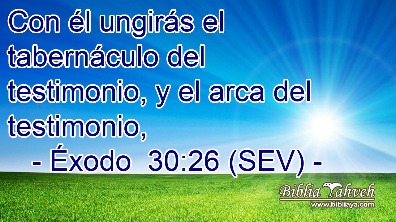Con él ungirás el tabernáculo del testimonio, y el arca del testimonio,