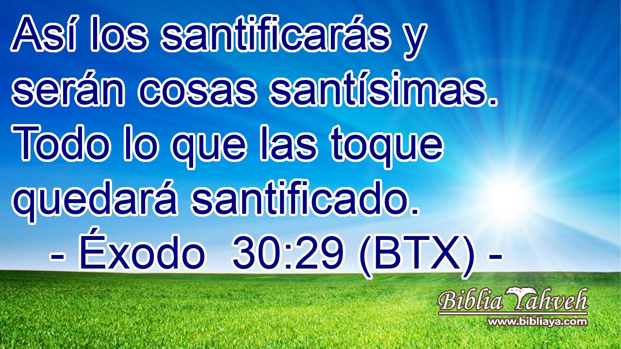 Así los santificarás y serán cosas santísimas. Todo lo que las toque quedará santificado.