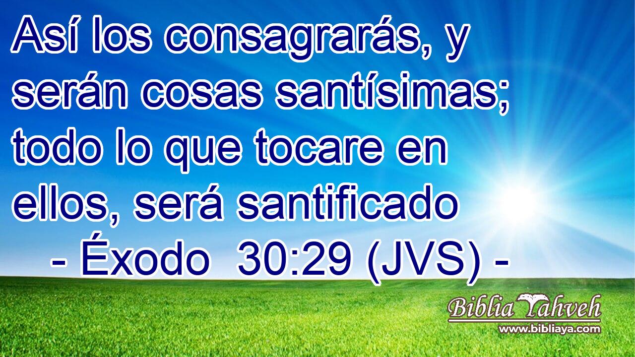 Así los consagrarás, y serán cosas santísimas; todo lo que tocare en ellos, será santificado
