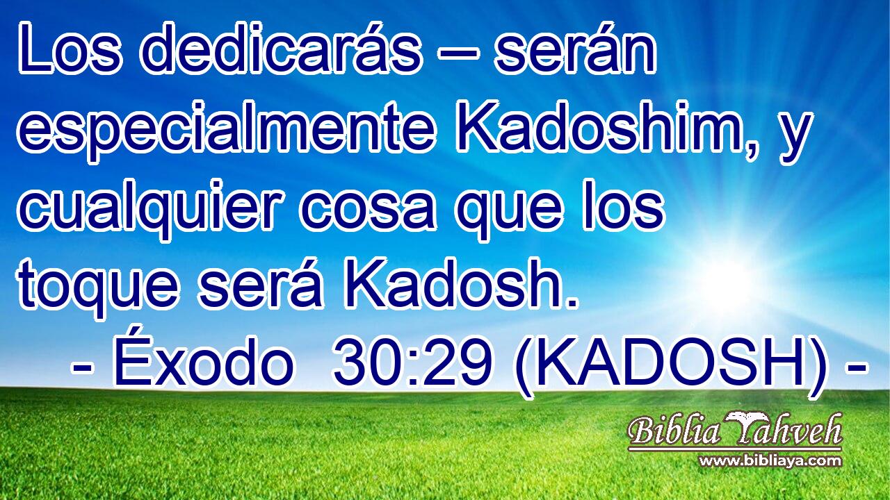  Los dedicarás – serán especialmente Kadoshim, y cualquier cosa que los toque será Kadosh. 