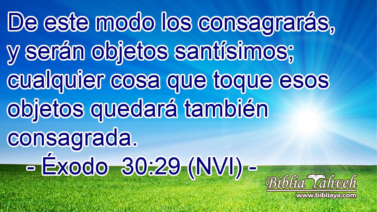  De este modo los consagrarás, y serán objetos santísimos; cualquier cosa que toque esos objetos quedará también consagrada. 