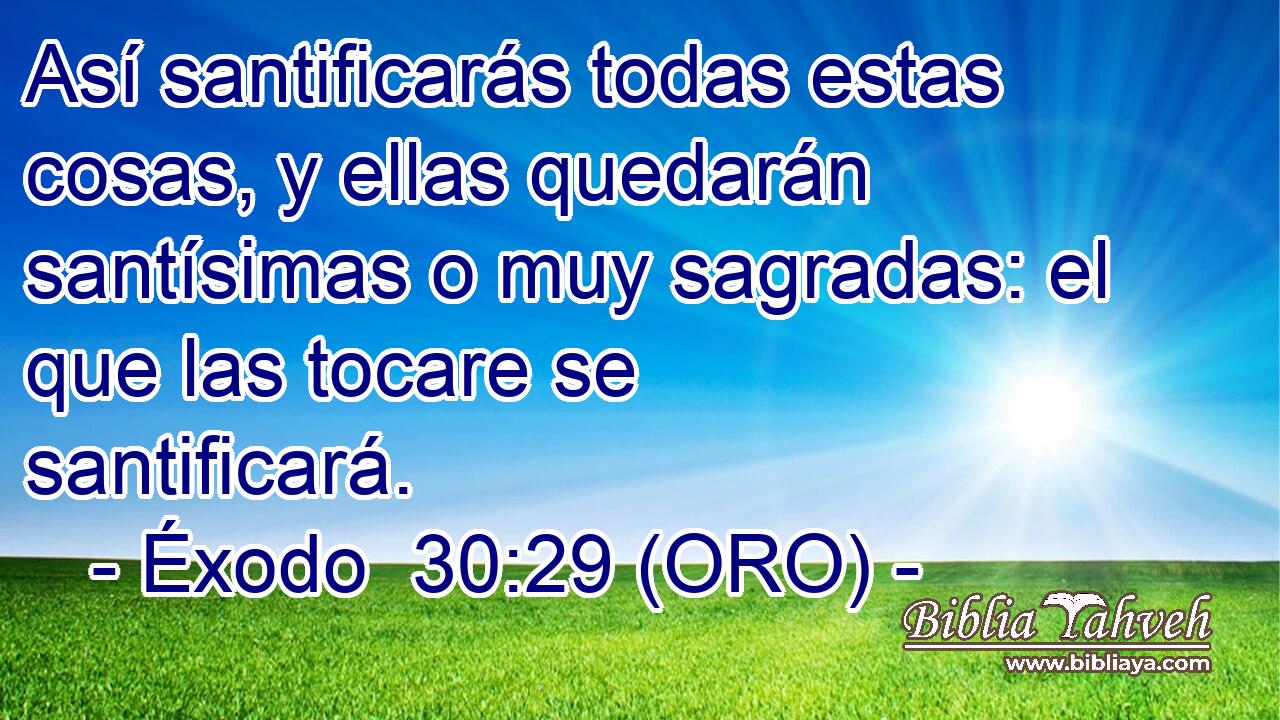  Así santificarás todas estas cosas, y ellas quedarán santísimas o muy sagradas: el que las tocare se santificará. 