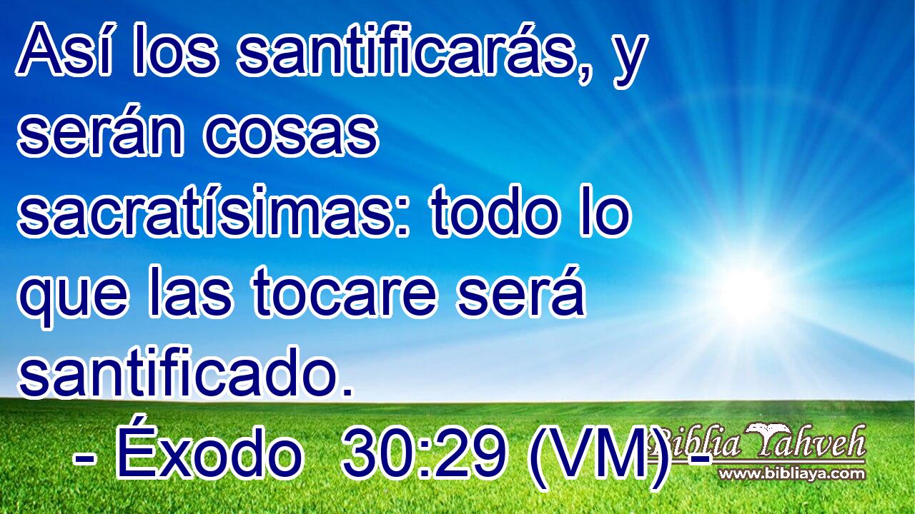  Así los santificarás, y serán cosas sacratísimas: todo lo que las tocare será santificado. 