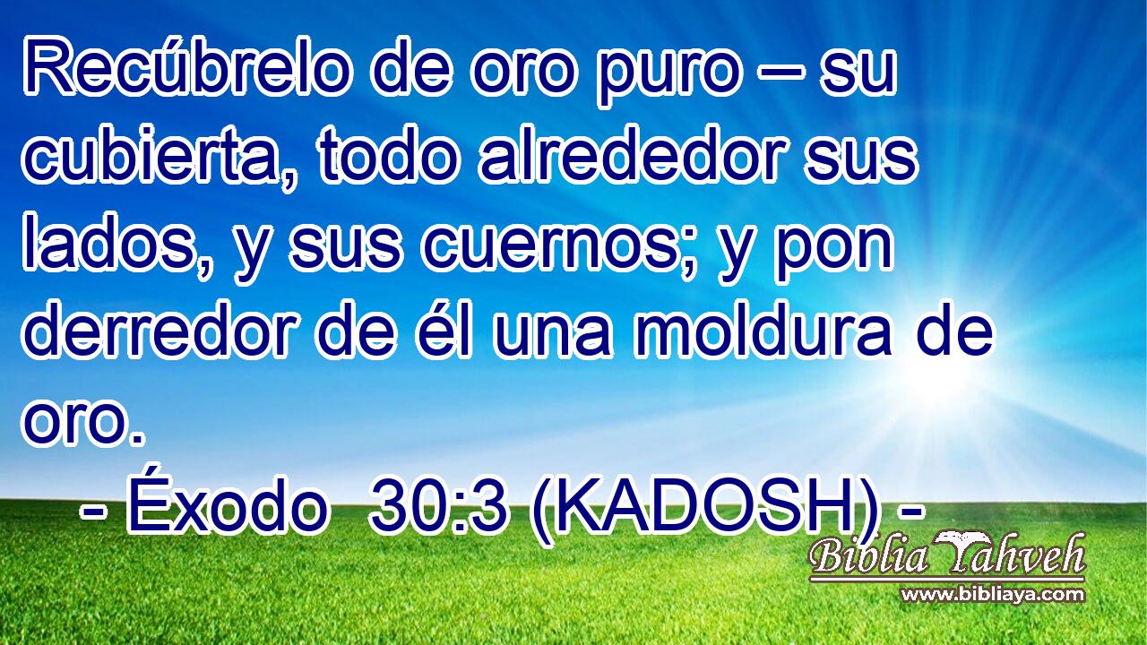  Recúbrelo de oro puro – su cubierta, todo alrededor sus lados, y sus cuernos; y pon derredor de él una moldura de oro. 