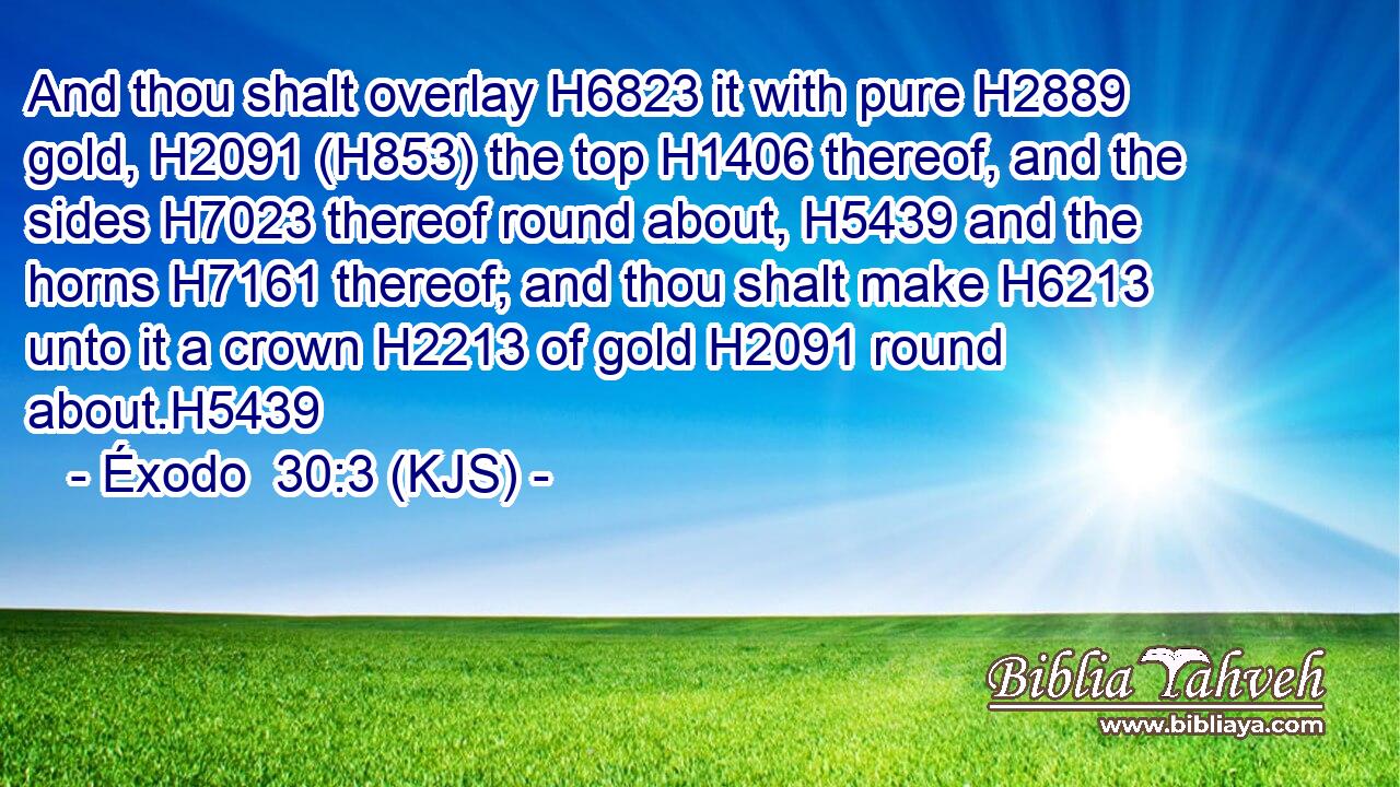 And thou shalt overlay H6823 it with pure H2889 gold, H2091 (H853) the top H1406 thereof, and the sides H7023 thereof round about, H5439 and the horns H7161 thereof; and thou shalt make H6213 unto it a crown H2213 of gold H2091 round about.H5439