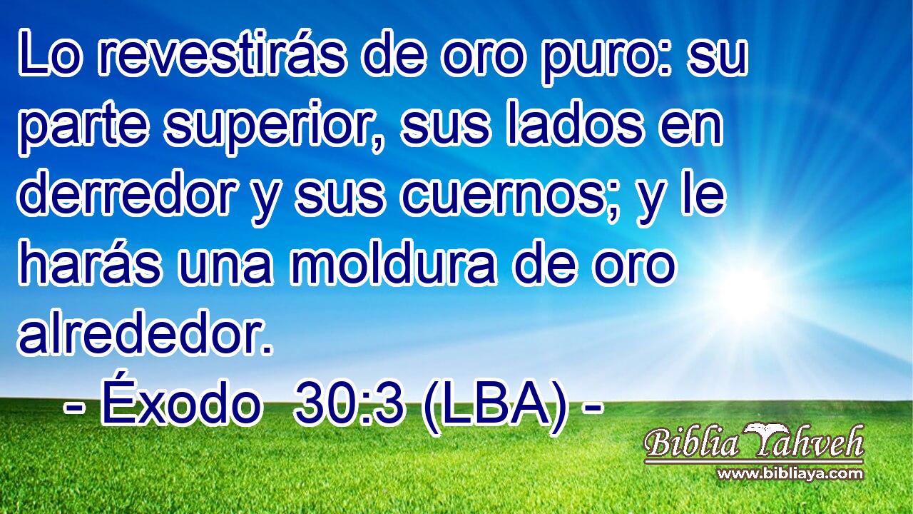 Lo revestirás de oro puro: su parte superior, sus lados en derredor y sus cuernos; y le harás una moldura de oro alrededor.