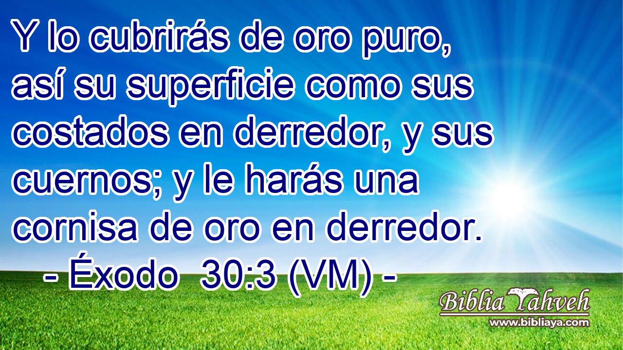  Y lo cubrirás de oro puro, así su superficie como sus costados en derredor, y sus cuernos; y le harás una cornisa de oro en derredor. 