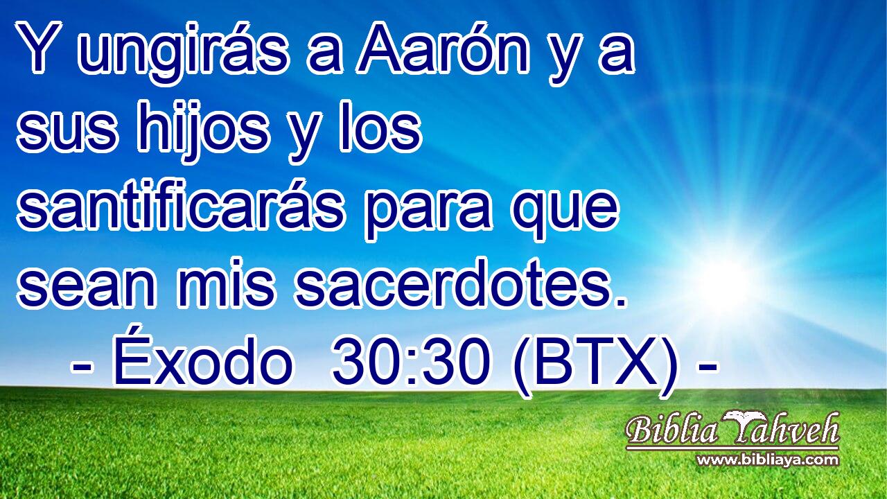 Y ungirás a Aarón y a sus hijos y los santificarás para que sean mis sacerdotes.