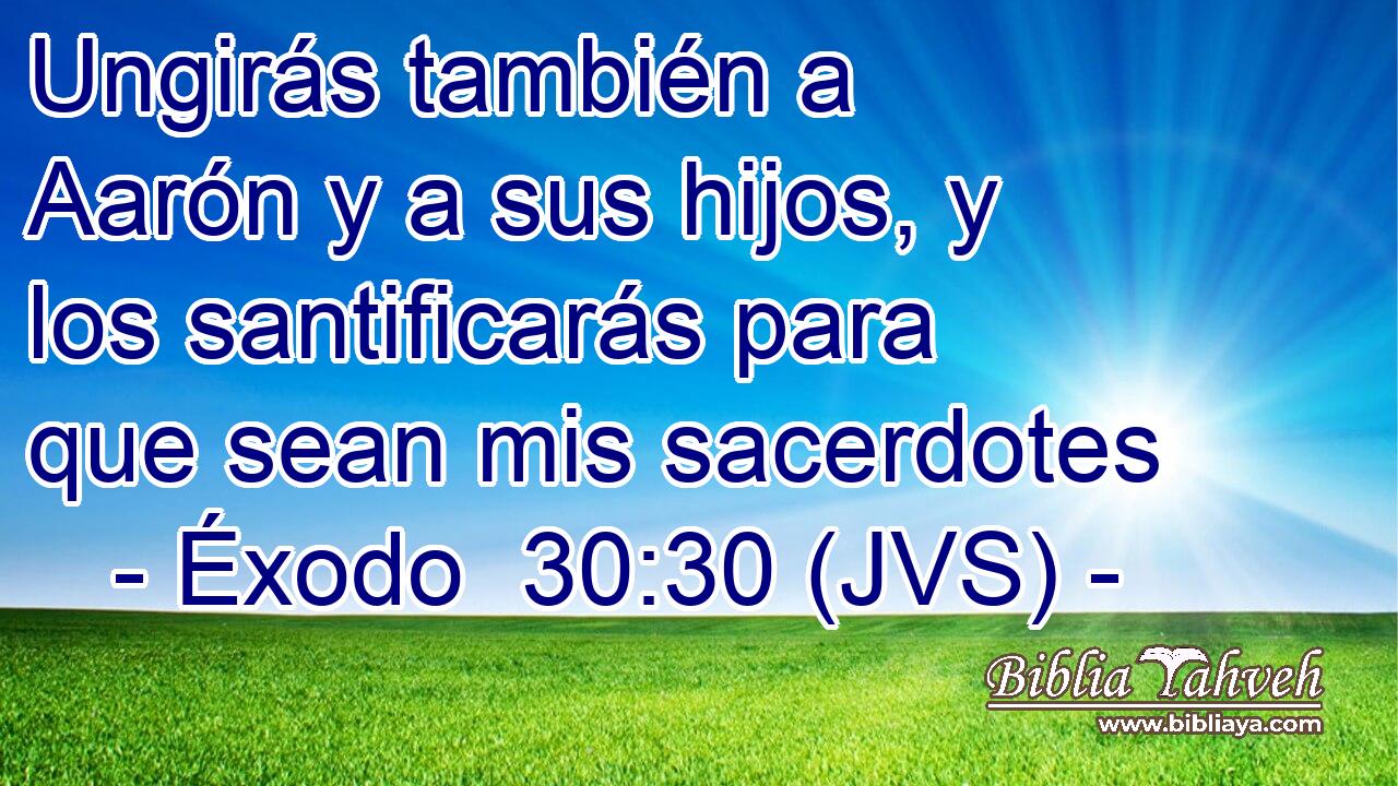 Ungirás también a Aarón y a sus hijos, y los santificarás para que sean mis sacerdotes