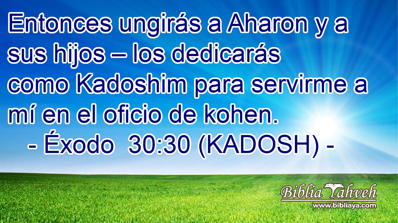  Entonces ungirás a Aharon y a sus hijos – los dedicarás como Kadoshim para servirme a mí en el oficio de kohen. 