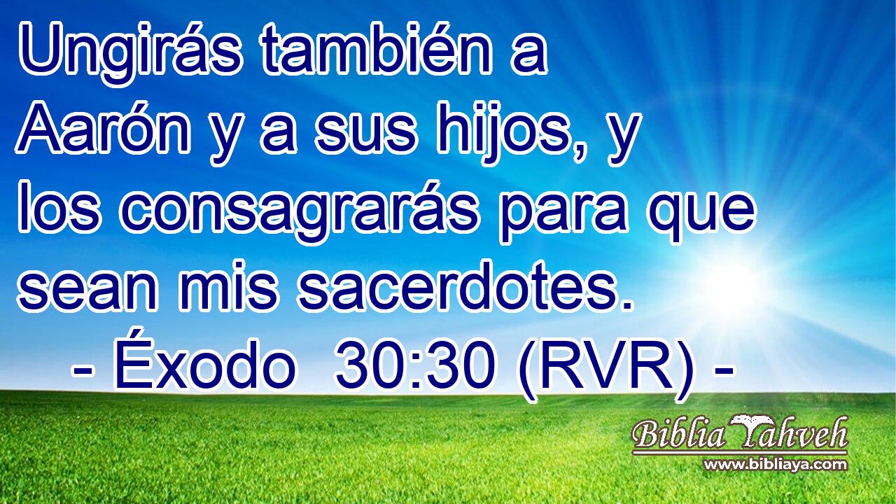 Ungirás también a Aarón y a sus hijos, y los consagrarás para que sean mis sacerdotes.