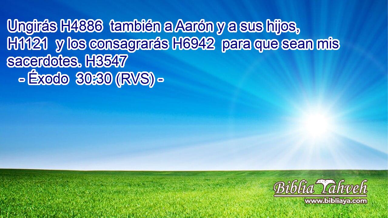 Ungirás H4886  también a Aarón y a sus hijos, H1121  y los consagrarás H6942  para que sean mis sacerdotes. H3547  