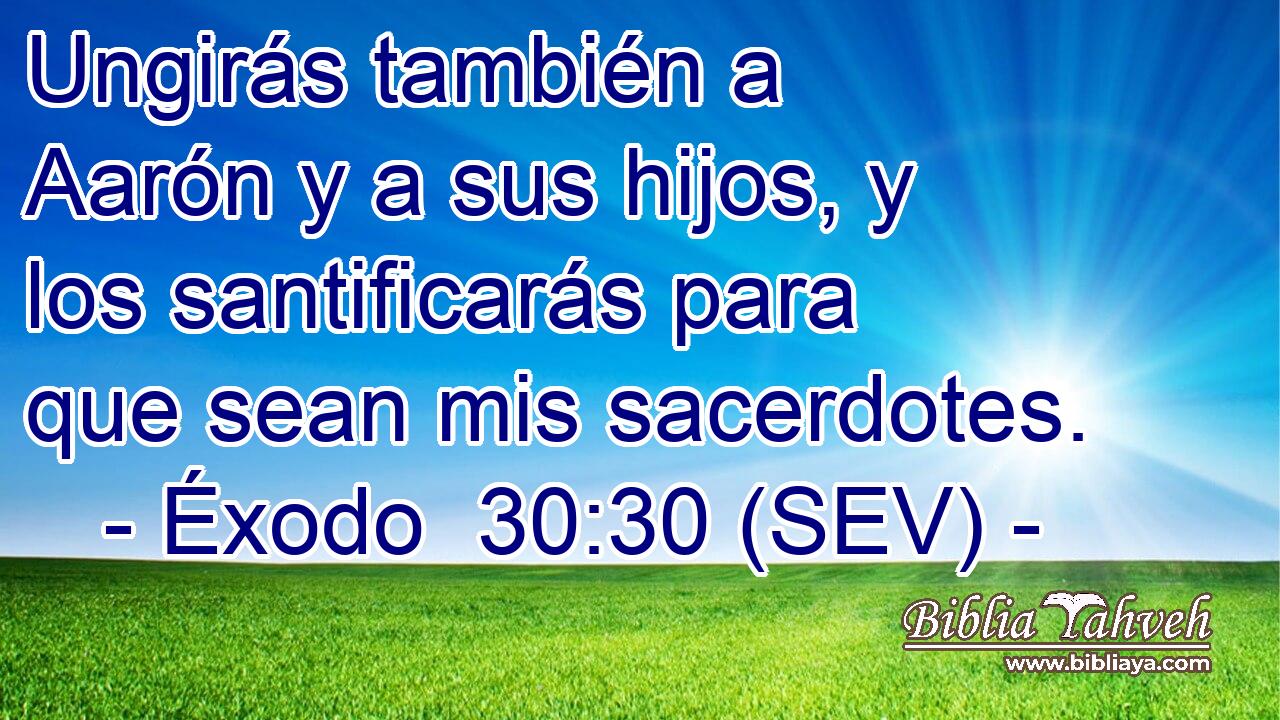 Ungirás también a Aarón y a sus hijos, y los santificarás para que sean mis sacerdotes.