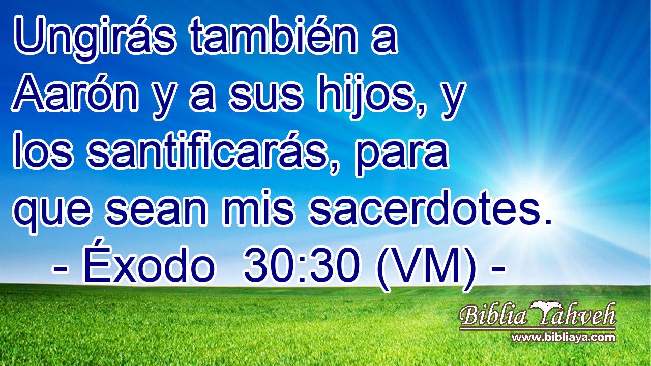  Ungirás también a Aarón y a sus hijos, y los santificarás, para que sean mis sacerdotes. 