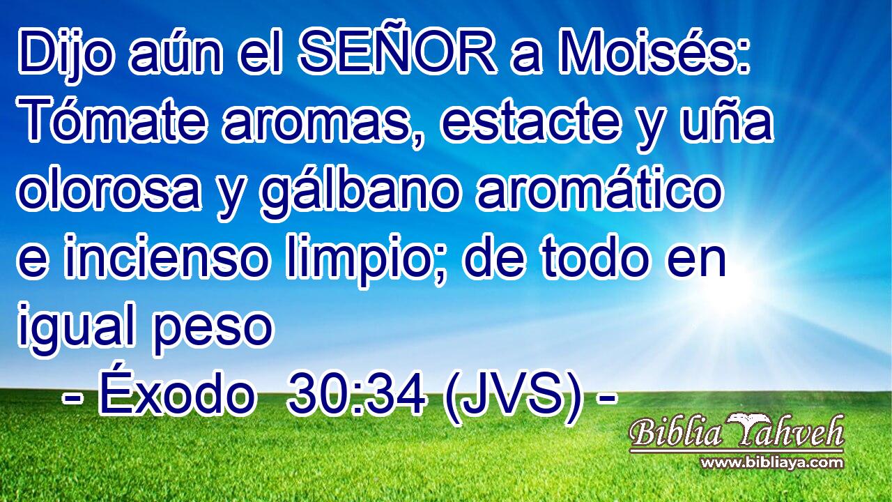 Dijo aún el SEÑOR a Moisés: Tómate aromas, estacte y uña olorosa y gálbano aromático e incienso limpio; de todo en igual peso
