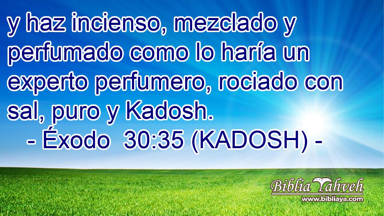  y haz incienso, mezclado y perfumado como lo haría un experto perfumero, rociado con sal, puro y Kadosh. 