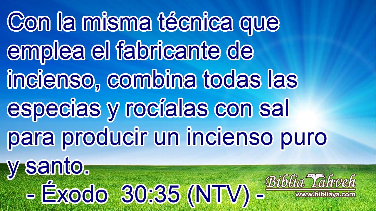 Con la misma técnica que emplea el fabricante de incienso, combina todas las especias y rocíalas con sal para producir un incienso puro y santo.