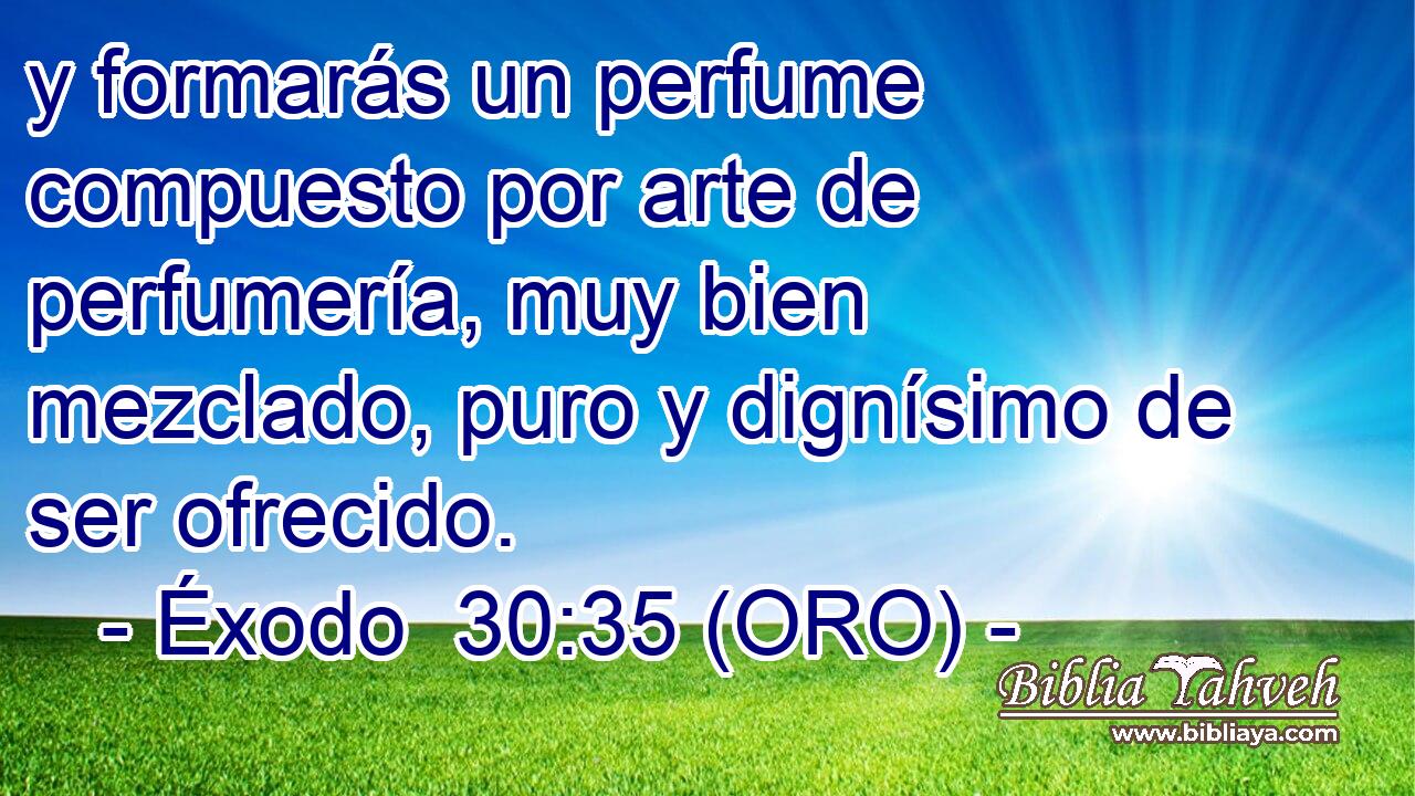 y formarás un perfume compuesto por arte de perfumería, muy bien mezclado, puro y dignísimo de ser ofrecido. 