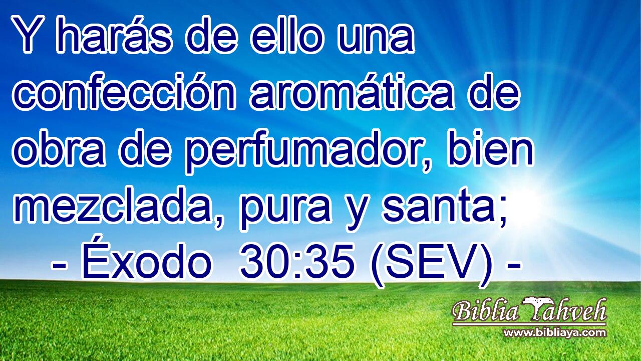 Y harás de ello una confección aromática de obra de perfumador, bien mezclada, pura y santa;