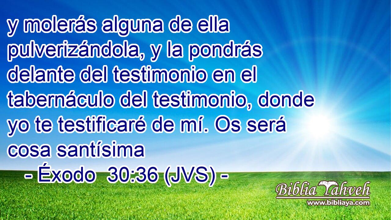 y molerás alguna de ella pulverizándola, y la pondrás delante del testimonio en el tabernáculo del testimonio, donde yo te testificaré de mí. Os será cosa santísima