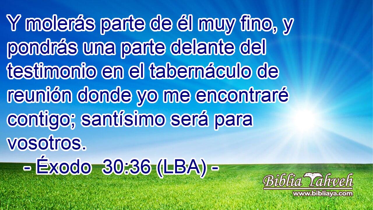 Y molerás parte de él muy fino, y pondrás una parte delante del testimonio en el tabernáculo de reunión donde yo me encontraré contigo; santísimo será para vosotros.