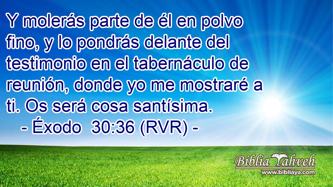 Y molerás parte de él en polvo fino, y lo pondrás delante del testimonio en el tabernáculo de reunión, donde yo me mostraré a ti. Os será cosa santísima.