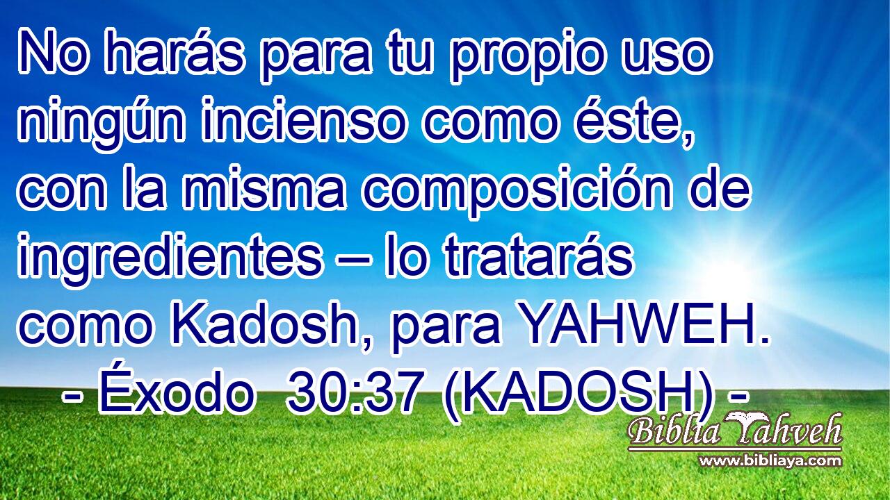  No harás para tu propio uso ningún incienso como éste, con la misma composición de ingredientes – lo tratarás como Kadosh, para YAHWEH. 